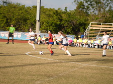 Enlarge photo 983