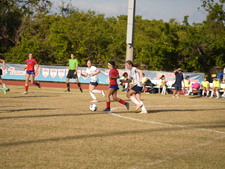 Enlarge photo 986
