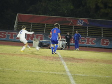 Enlarge photo 129
