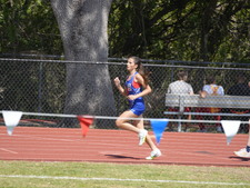 Enlarge photo 184