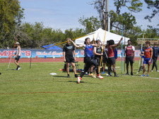 Enlarge photo 225