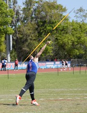 Enlarge photo 237