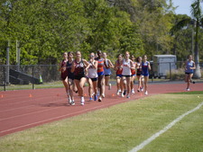 Enlarge photo 239
