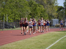 Enlarge photo 240