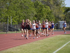 Enlarge photo 243