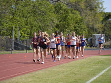 Enlarge photo 244