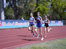 Enlarge photo 254