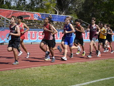 Enlarge photo 283