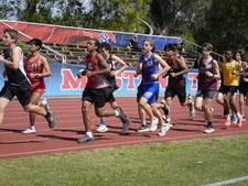 Enlarge photo 285