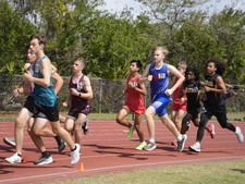 Enlarge photo 309