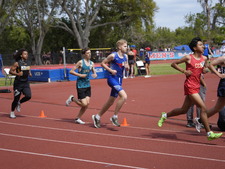 Enlarge photo 341