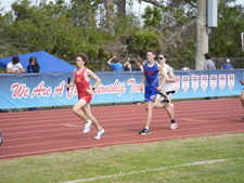 Enlarge photo 696