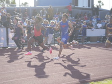 Enlarge photo 981