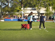 Enlarge photo 1229