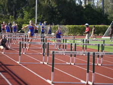 Enlarge photo 233