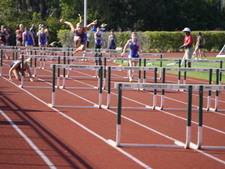 Enlarge photo 235