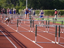 Enlarge photo 237