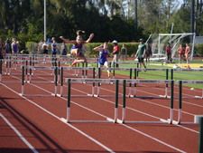 Enlarge photo 244