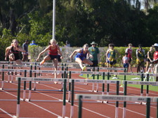 Enlarge photo 344