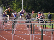 Enlarge photo 387