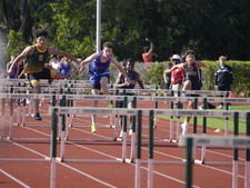 Enlarge photo 388