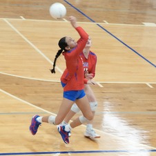 Enlarge photo 462