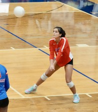 Enlarge photo 133