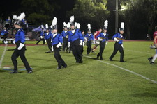 Enlarge photo 151