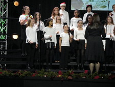 Enlarge photo 133