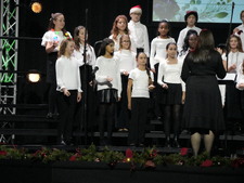 Enlarge photo 135