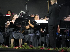 Enlarge photo 202