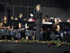 Enlarge photo 229
