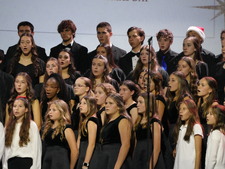 Enlarge photo 1225