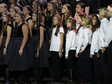Enlarge photo 1239