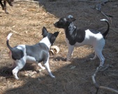 Enlarge photo 15