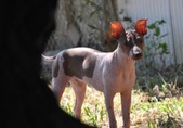 Enlarge photo 5