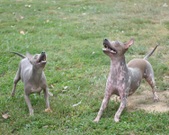 Enlarge photo 24