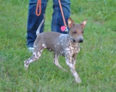 Enlarge photo 17