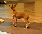Enlarge photo 20