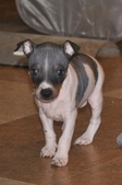Liam/Jasper