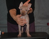 Enlarge photo 4