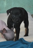 Enlarge photo 14