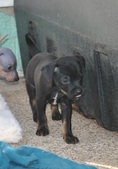 Enlarge photo 12