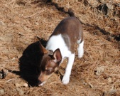 Enlarge photo 19
