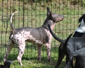 Enlarge photo 15