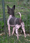 Enlarge photo 17