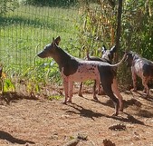 Enlarge photo 15