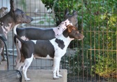 Enlarge photo 23