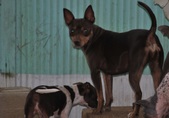Enlarge photo 8