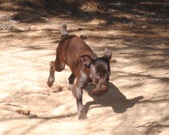 Enlarge photo 12